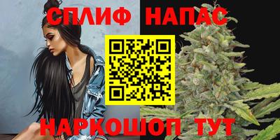 стафф Братск