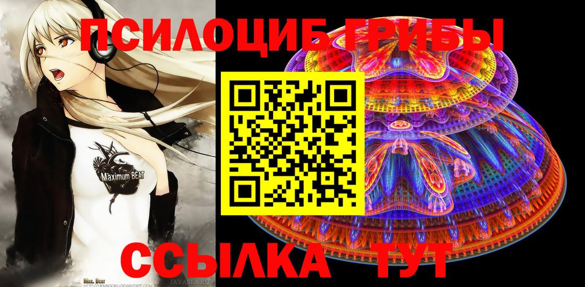 Псилоцибиновые грибы GOLDEN TEACHER Богданович