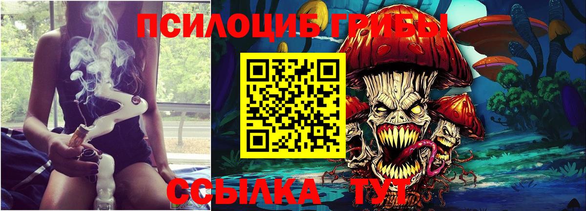 как найти   Вход с VPN  Богданович  Псилоцибиновые грибы Magic Shrooms 