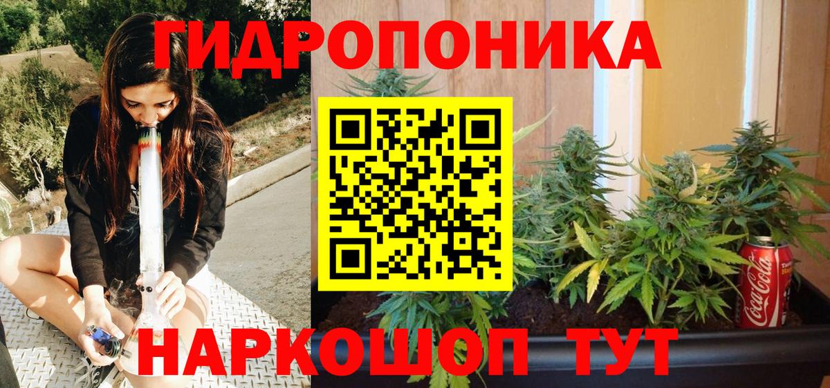 Марихуана сатива Богданович